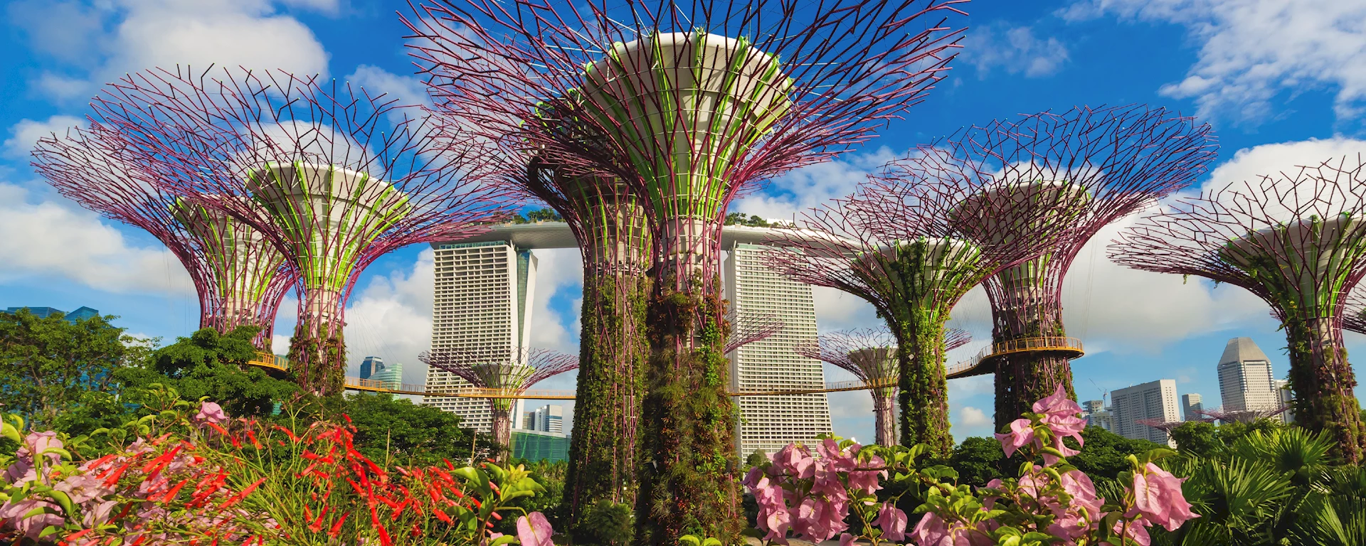 Singapore 3.jpg