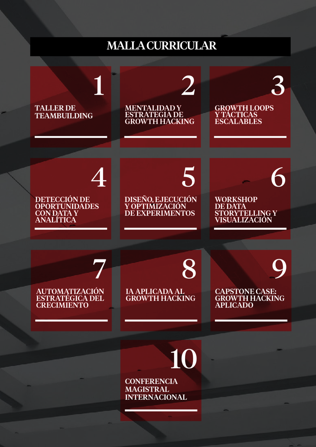 Malla Curricular - Analítica Digital & Growth Hacking