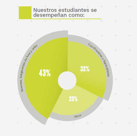 Cargos de los alumnos de la Maestría en Desarrollo Organizacional y Dirección de Personas de la Pacífico, Cargos de los alumnos de la Maestría en RR.HH de la Pacífico