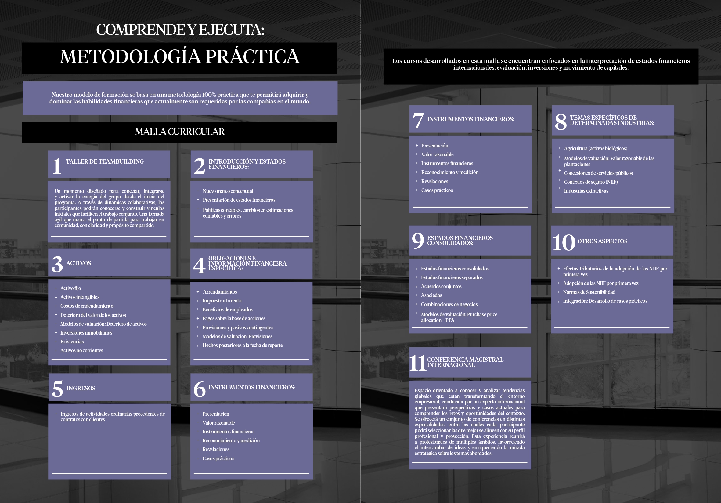 Malla curricular de Programa de Especialización en IFRS /NIIF´s