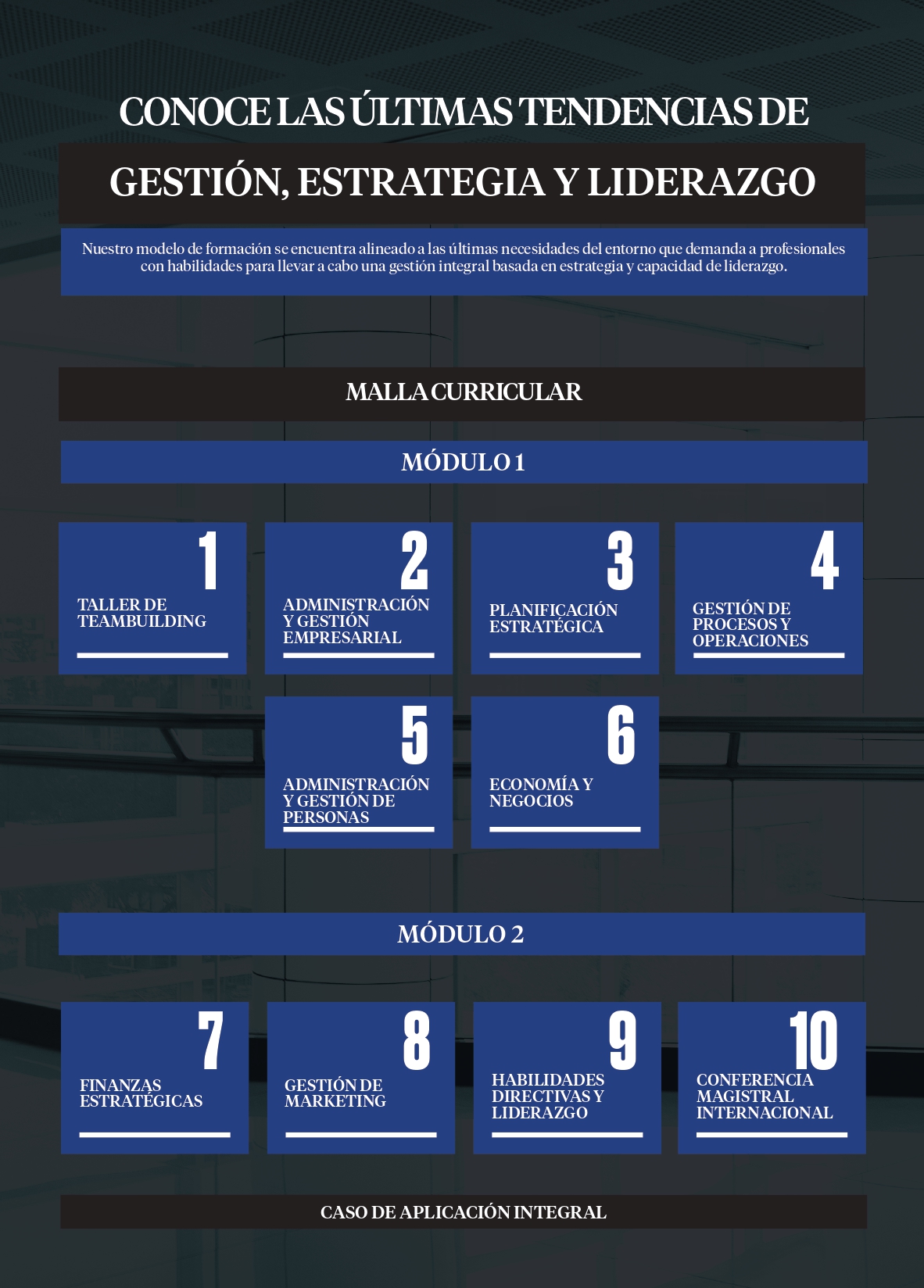 Malla Curricular - Programa de Especialización en Administración y Gestión de Empresas