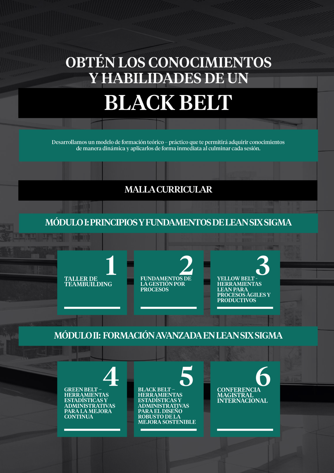 Malla Curricular - Programa en Lean Six Sigma Black Belt