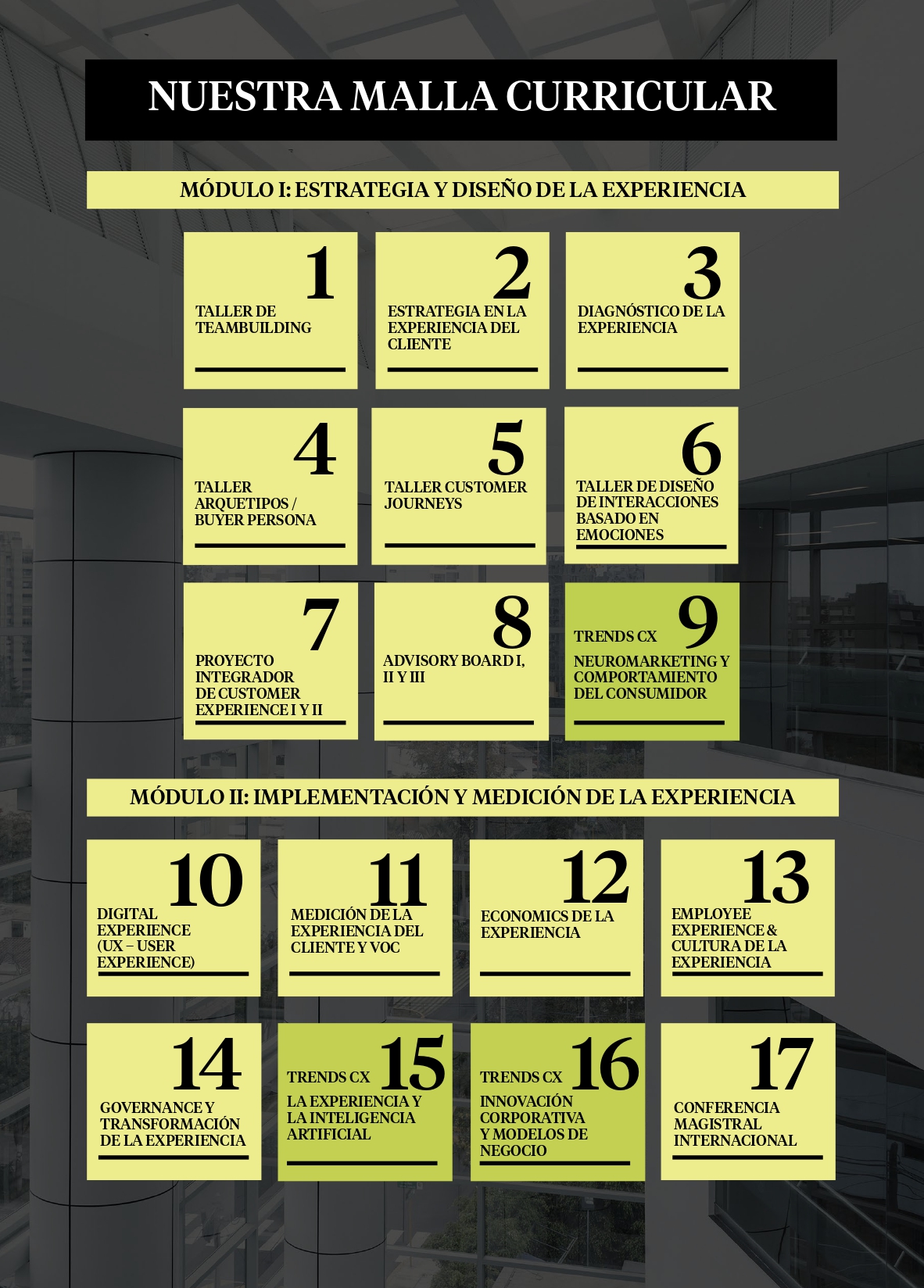 Malla Curricular - Programa Internacional en Customer Experience Management