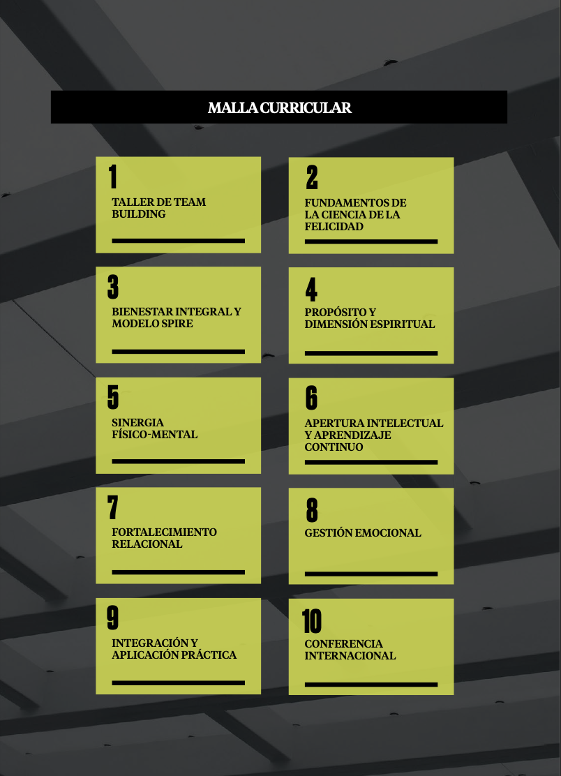 Universidad del Pacífico - Programa Ejecutivo en La Felicidad como Estrategia de Éxito Personal y Profesional